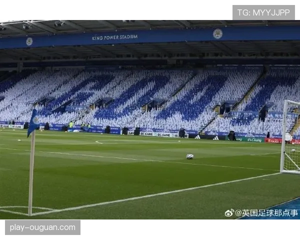 莱斯特城与伊普斯维奇比赛因看台出现烟雾暂停半小时